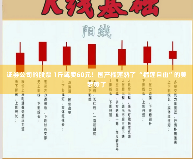 证券公司的股票 1斤或卖60元！国产榴莲熟了 “榴莲自由”的美梦黄了