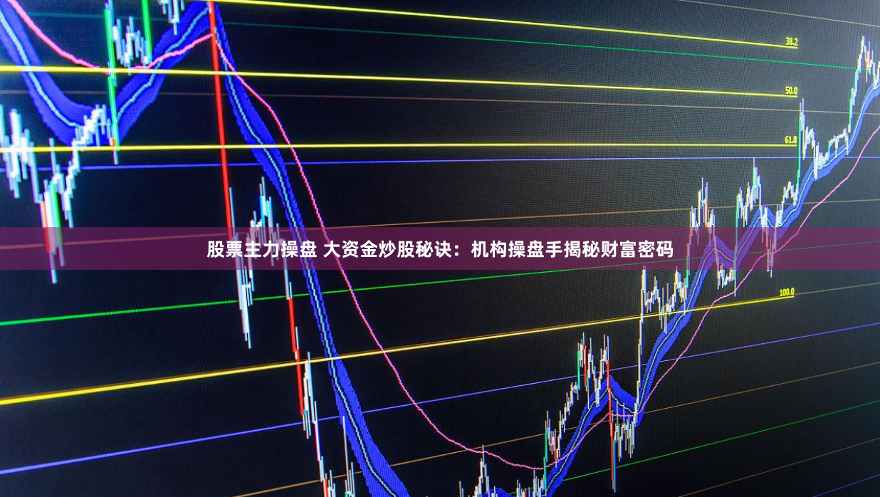 股票主力操盘 大资金炒股秘诀：机构操盘手揭秘财富密码