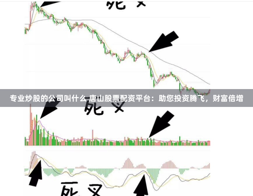 专业炒股的公司叫什么 唐山股票配资平台：助您投资腾飞，财富倍增