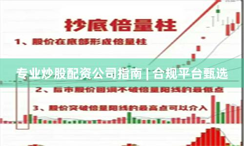 专业炒股配资公司指南 | 合规平台甄选